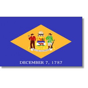 3'x5' Delaware State Flag Nylon